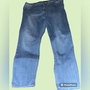 Celebrity Blues Skinny Jeans - Size 22